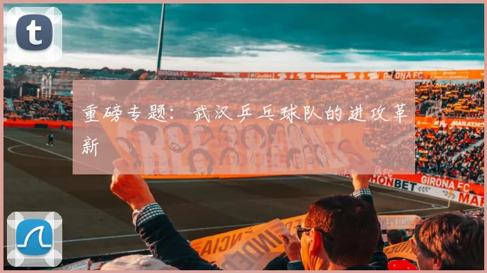 重磅专题：武汉乒乓球队的进攻革新