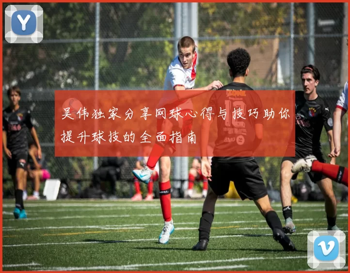 吴伟独家分享网球心得与技巧助你提升球技的全面指南